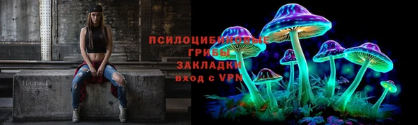 шишки Волосово