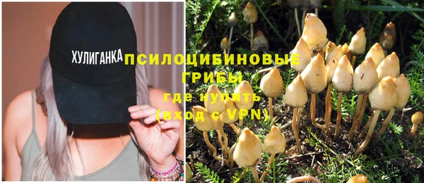 МДПВ Волоколамск
