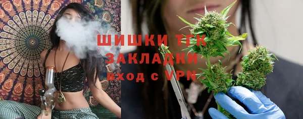 шишки Волосово