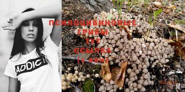 прущая мука Володарск