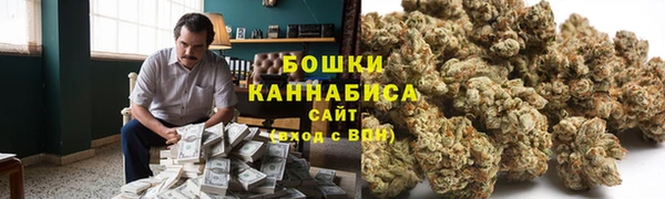 шишки Волосово