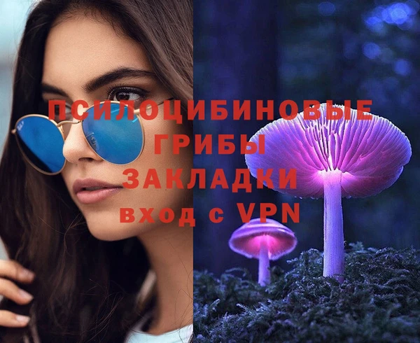 шишки Волосово