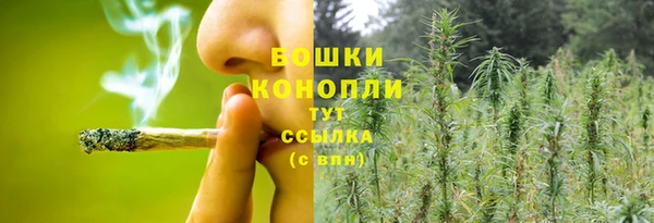 шишки Волосово