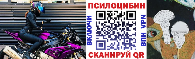 как найти закладки  Тосно  hydra онион  Псилоцибиновые грибы GOLDEN TEACHER 